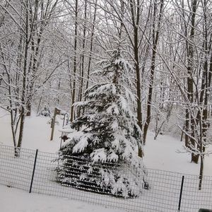 Meet your Posher, Shelley